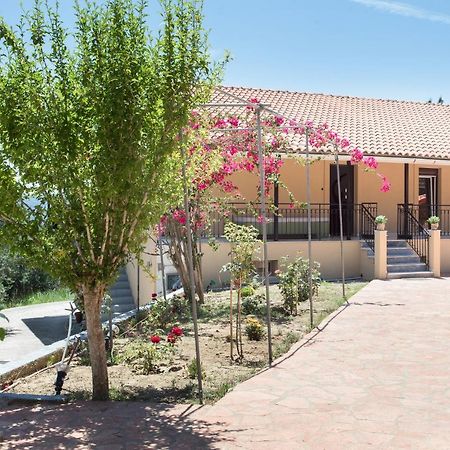 Olive Tree House Vila Evropouloi Exterior foto